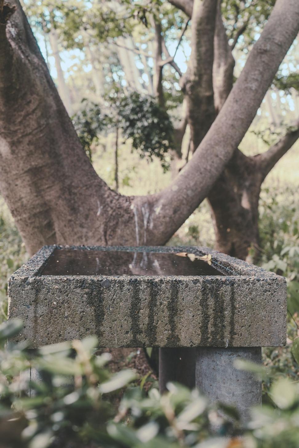 Water Management