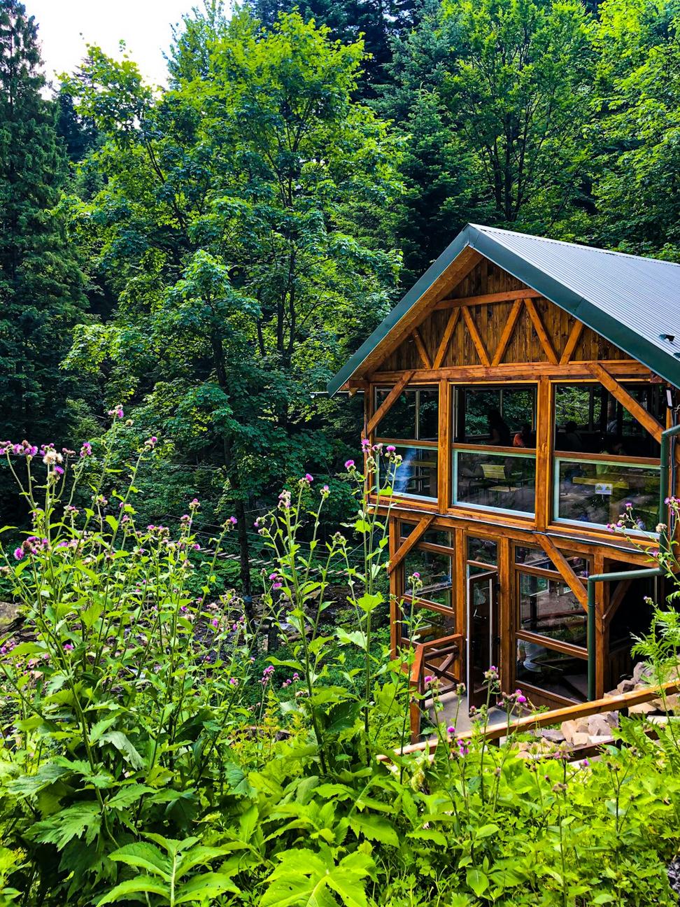 Whistler Eco Cabin